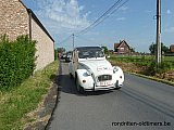 Zandlemig Vlaanderen